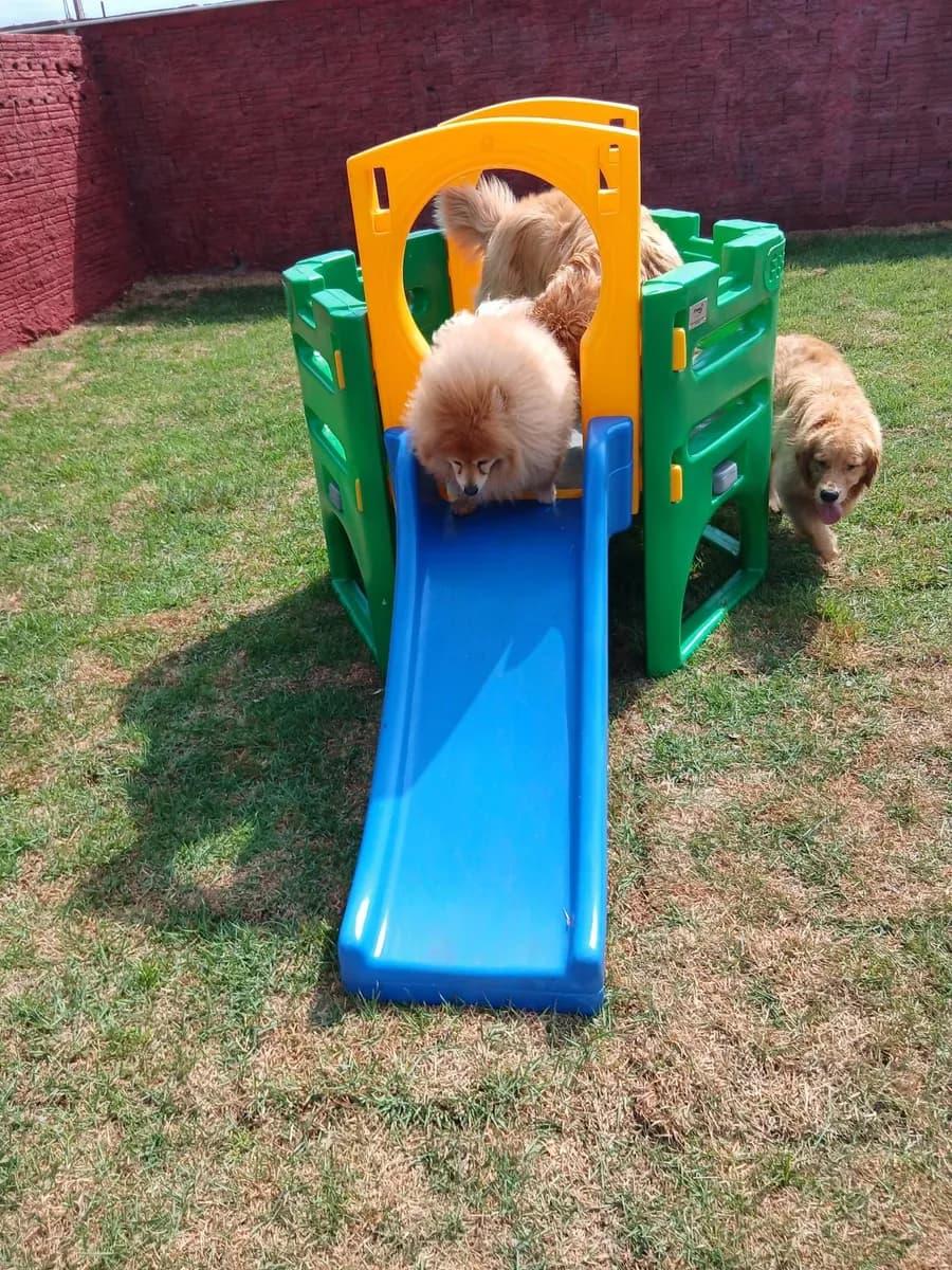 Atividades e brincadeiras na creche